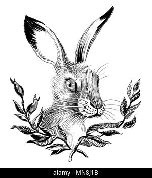 Ink black and white drawing of a hare head Stock Photo