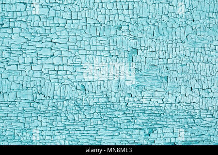 Old cracked aquamarine paint on a wooden surface. Weathered Texture of a wall. Rustic light blue background. Stock Photo