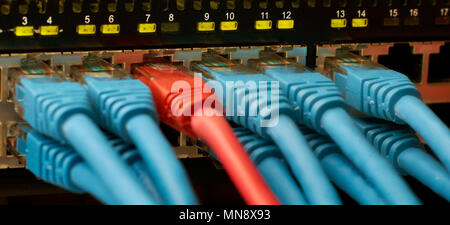 Network switch with connection cables, one red and some are blue. Stock Photo