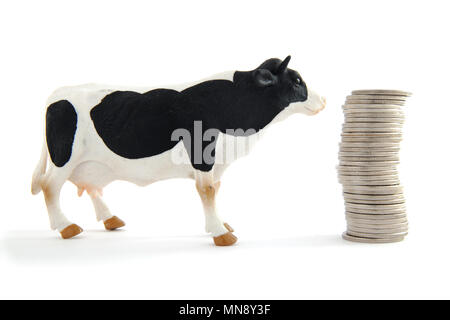 A cow stands next to a pile of money, isolated on white background. Stock Photo