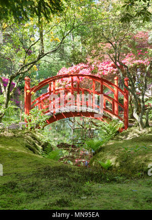 japanese garden with red bridge in the hague Holland in the open for public park called landgoed clingendael Stock Photo