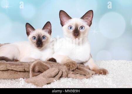 2 Thais Stock Photo