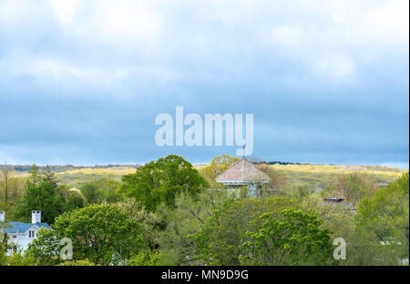 image shot from the tops of tree of sag harbor with steeple and the tops of trees Stock Photo