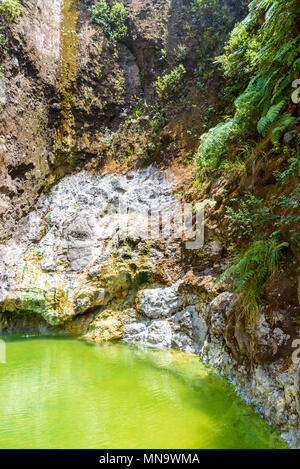 Natural pool of Fuentes Georginas - hot springs around Zunil and Quetzaltenango - Xela, Guatemala Stock Photo