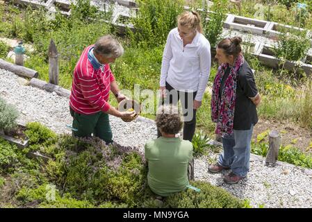 Switzerland Wallis Medicinal garden - June 2017 | usage worldwide Stock Photo