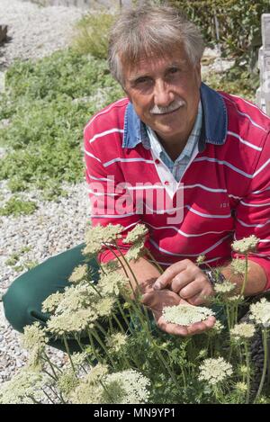 Switzerland Wallis Medicinal garden - June 2017 | usage worldwide Stock Photo