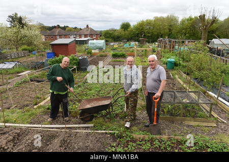 Gardeners at Woodside Allotments and Leisure Gardeners Association in Telford Uk Stock Photo