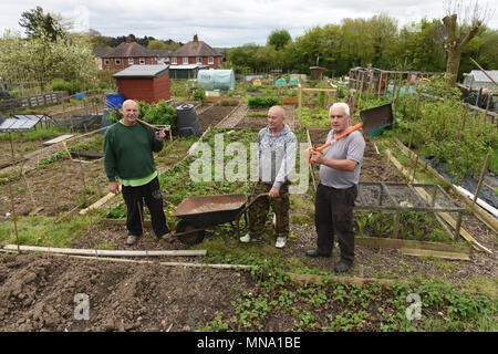 Gardeners at Woodside Allotments and Leisure Gardeners Association in Telford Uk Stock Photo