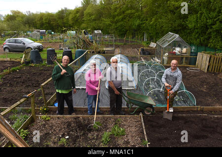 Gardeners at Woodside Allotments and Leisure Gardeners Association in Telford Uk Stock Photo