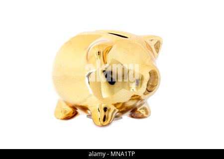 Small golden piggy bank mirrored isolated on white background Stock ...
