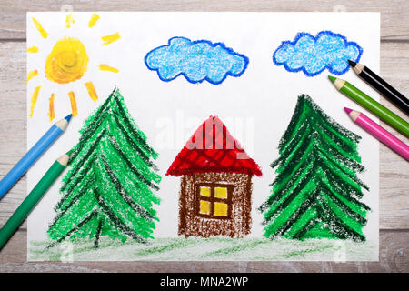 Photo Of Colorful Drawing Small House Surrounded By Coniferous