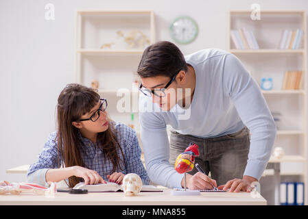 Two medical students studying in classroom Stock Photo