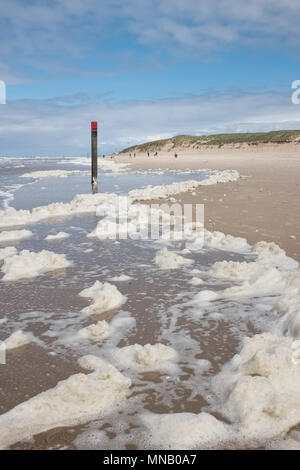 Algae (type Phaeocystis ) cover a beach in Texel, the biggest of the Waddeneilanden, Monday 16 May 2016, Texel, the Netherlands. Stock Photo