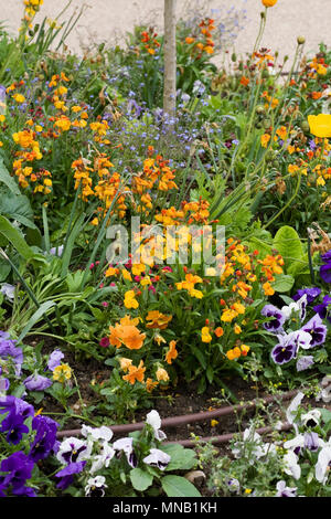 Spring flower bed in the town of Montmorillon, France. Stock Photo