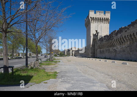 Old walls - Fortifications of Avignon - Camargue - Provence - France Stock Photo