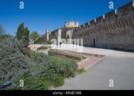 Old walls - Fortifications of Avignon - Camargue - Provence - France Stock Photo