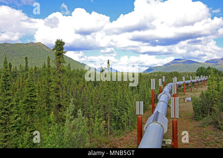 Oil pipeline along Dalton Highway, leading from Valdez, Fairbanks to Prudhoe Bay, Alaska, USA Stock Photo