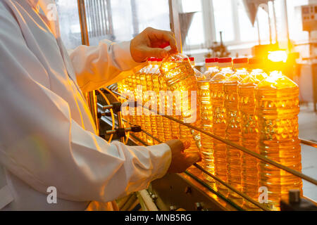 Sunflower oil. Olive oil. The employee of the factory in a white coat holds a bottle of oil in his hands on a conveyor belt. Production of oil. Stock Photo