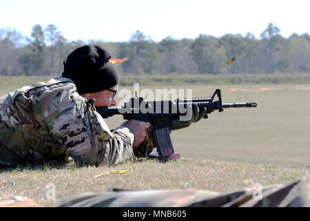 Distinguished Rifle Badge Stock Photo - Alamy
