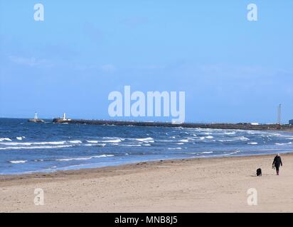 Woman walking her dog on the beach  at Ayr, Scotland, UK. Stock Photo