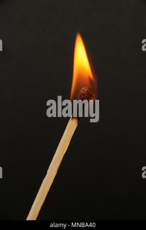 Fire burning single match on a black background Stock Photo