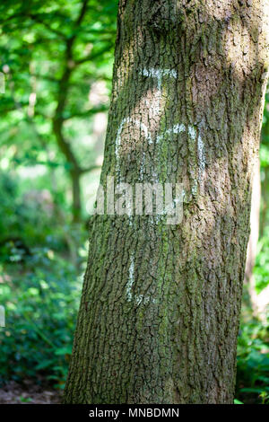 Initals of lovers on a tree trunk Stock Photo