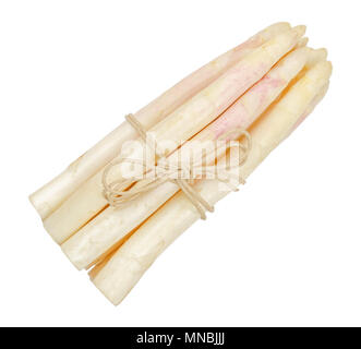 White asparagus shoots bundle, also sparrow grass. Blanched cultivated Asparagus officinalis. Spring vegetable with thick stems and closed buds. Stock Photo