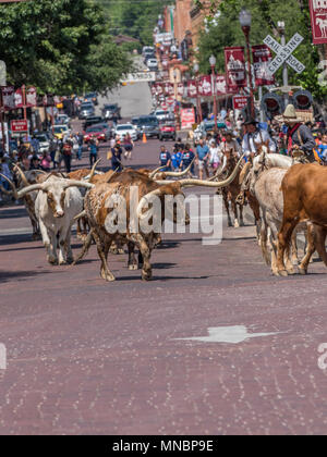 Fort Worth Stockyards, Downtown Fort Worth, Texas, USA Stock Photo - Alamy