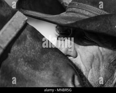 authentic cowboy whispers to pony Stock Photo