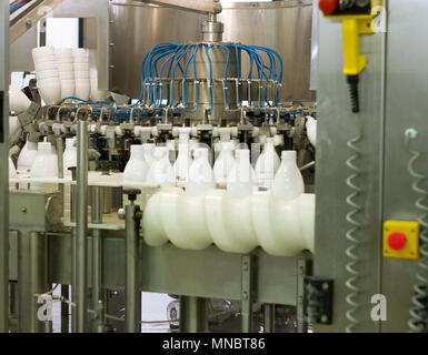 Dairy Plant. Conveyor with milk bottles. Stock Photo