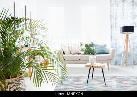 Plant in bright living room with wooden table on a carpet and lamp next to a sofa with floral pillow Stock Photo