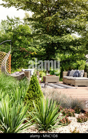 Plants and shrubs in a sunny backyard of a hostel with garden furniture in the background Stock Photo