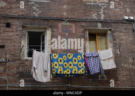 clothes hanging out to dry on a washing line in siena, Italy on an old building in disrepair, one bed sheet with sunflowers on it Stock Photo