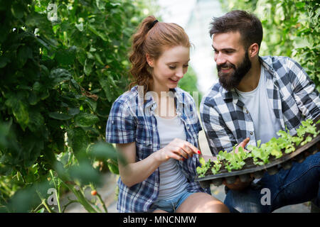 Two young smiling people working in greenhouse with sprouts Stock Photo