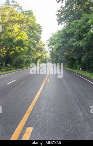 road in forest up hill to the mountain top at at sunny sunset. Stock Photo
