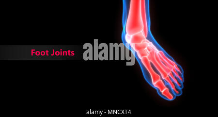 Human Skeleton System Bone Joint Pains Anatomy Stock Photo
