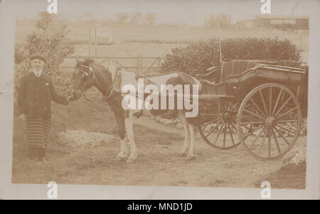 Vintage Photograph of a Horse and Cart Delivery Service For Trowbridge Family Butchers, Porton, Wiltshire, England, UK Stock Photo