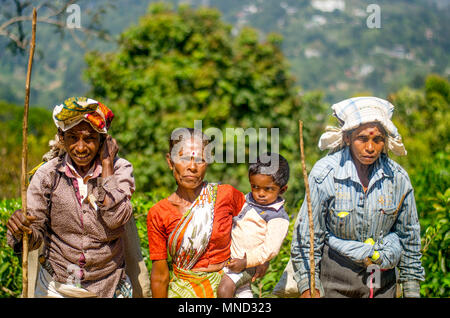 Tea workers near Ella, Hill Country, Sri Lanka Stock Photo