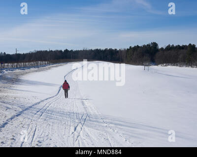 Winter landscape with snow and ski tracks, lone man crossing an open field on foot in Bygdoy Oslo Norway Stock Photo