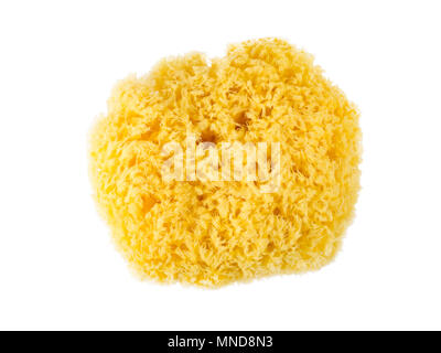 Round yellow natural sponge flatlay isolated on white Stock Photo
