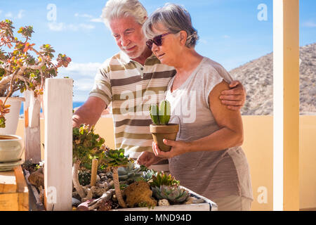Man and woman old taking care of their grass plants. Couple life in the rooftop with ocean view and mountain. Green nature made by hands. Stock Photo