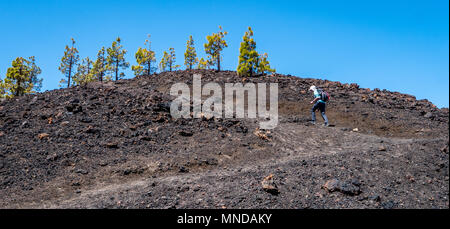 Walker ascending the steep path up to the crater rim of Samara volcano on the slopes of Mount Teide on Tenerife in the Canary Islands Stock Photo