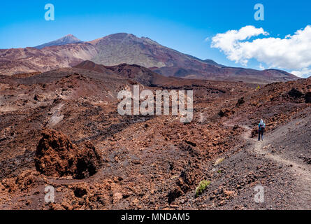 Female walker on the Montana de la Botija looking past desolate lava flows towards the summit cone of Mount Teide on Tenerife Canary Islands Stock Photo