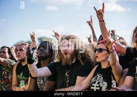 Music festival crowd. Heavy metal music festival crowd watching with horns in the air Stock Photo