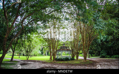 Kanapaha Botanical Gardens in Gainesville Florida Stock Photo