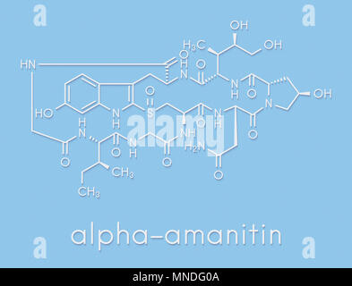 Alpha-amanitin death cap toxin molecule. Present in many Amanita mushrooms. Skeletal formula. Stock Photo