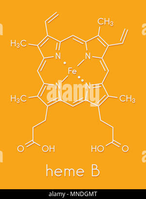 Heme B (haem B) Molecule. Heme Is An Essential Component Of Hemoglobin ...