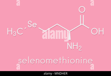 Selenomethionine amino acid molecule. Selenium containing natural analog of methionine. Skeletal formula. Stock Photo