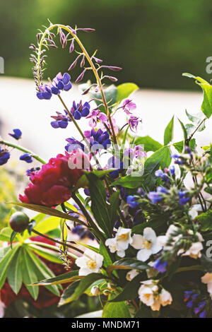 Pretty summer bouquet with multi colours of flowers for best mood Stock Photo