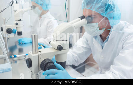 Two lab technicians or scientists working in laboratory Stock Photo